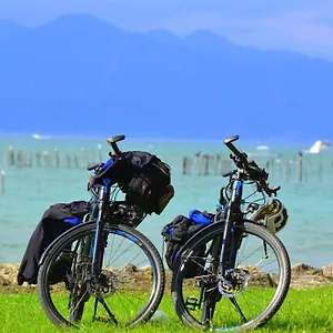 Il Grande Salice Bike Friends Ponti sul Mincio